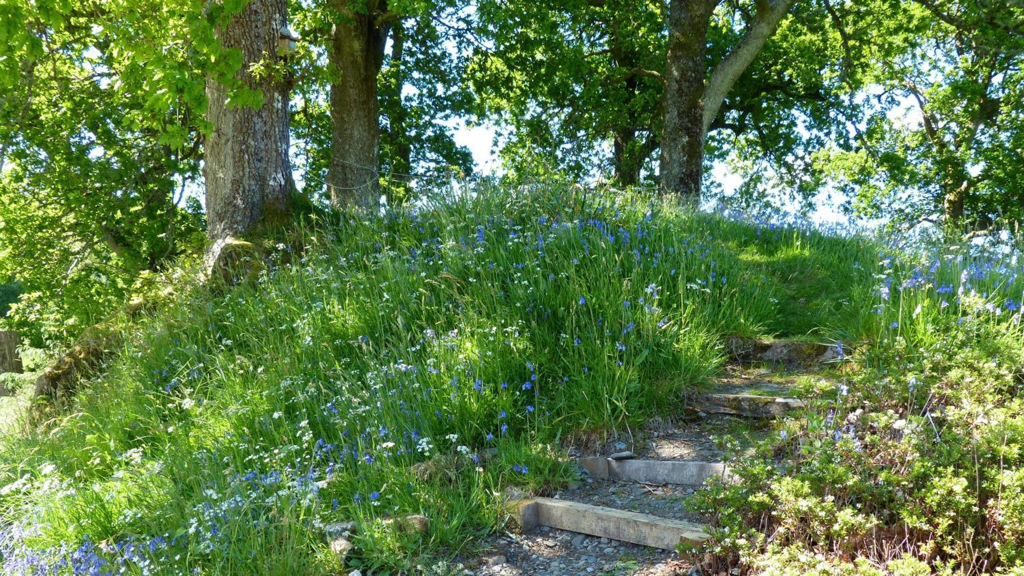 Blarghour Farm Cottages Ardchonnell Dış mekan fotoğraf